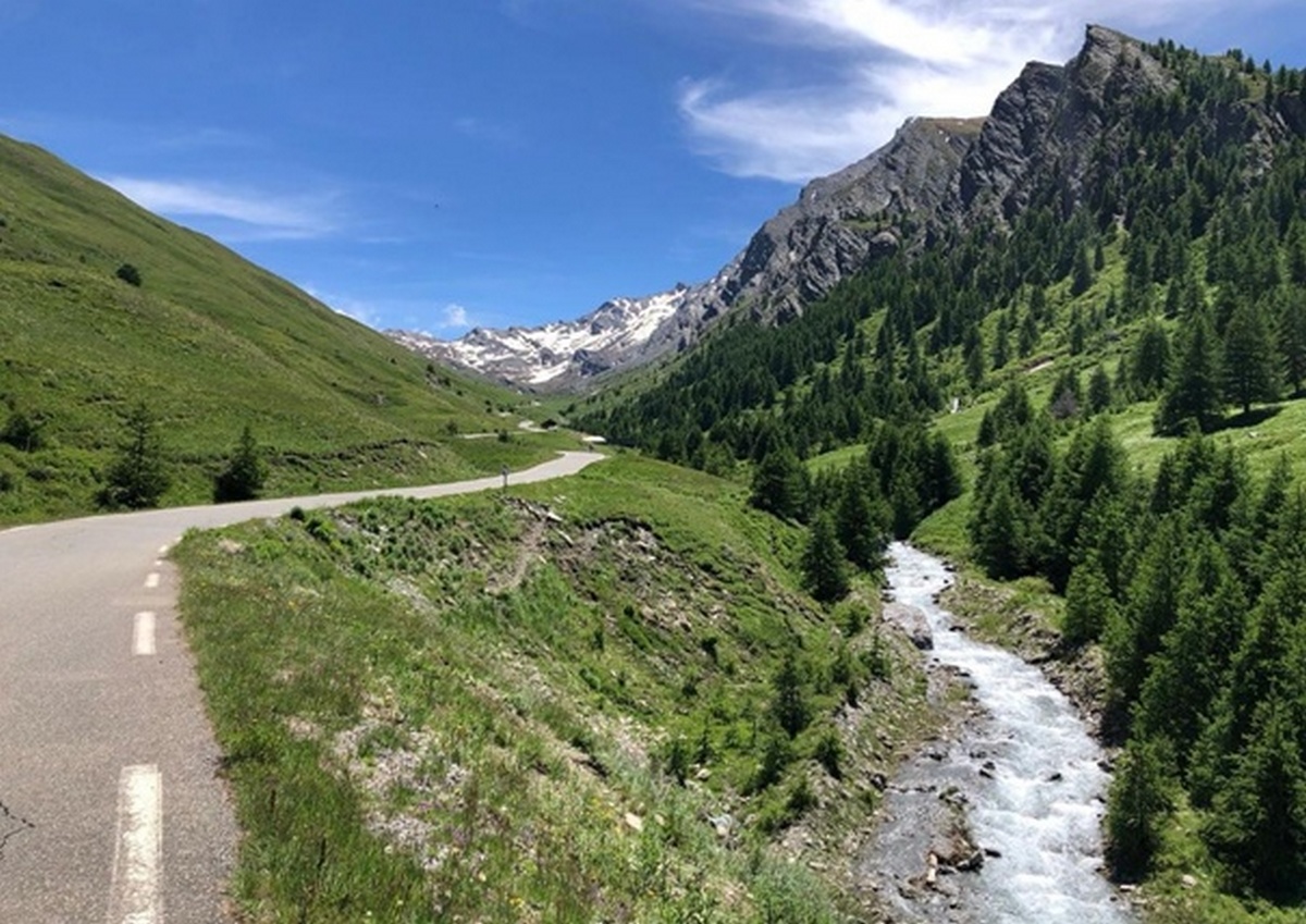 agnel 2